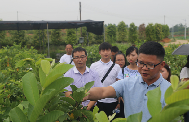 研究生社会实践-1.jpg